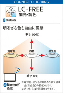 ODELIC �����ǥ�å� ������󥰥饤�� OL291005BC �����BTĴ����Ĵ���ʥ�����󥰡�