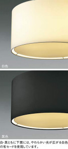 �������߾��� KOIZUMI LED �ڥ����� XP44538L �̿�1