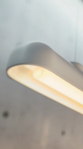 �ޥå����쥤 MAXRAY �ڥ����� MP40455-01 �̿�1