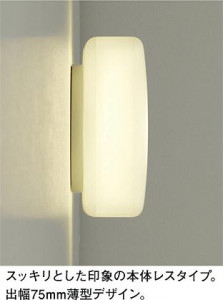 ���ͼ̿���DAIKO ����ŵ� LED �֥饱�å� DBK-37169