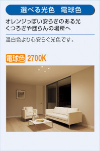 ������DAIKO ����ŵ� LED ��ȴ���ڥ����� DPN-40024Y