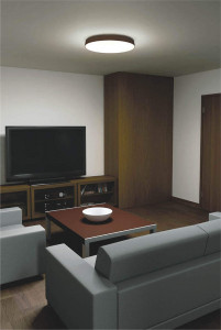 �������߾��� KOIZUMI LED ������� AH42835L �̿�1