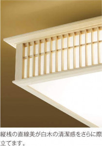 �������߾��� KOIZUMI LED ����������� AH43110L �̿�2