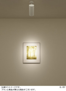 Panasonic ���ݥåȥ饤�� LGB84335LB1 �̿�3