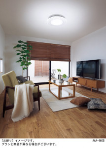 Panasonic ������󥰥饤�� LGBZ1196 �̿�1