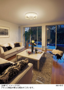 Panasonic ������󥰥饤�� LGBZ2437 �̿�2