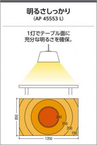 �������߾��� KOIZUMI �ڥ����� AP45553L �̿�4