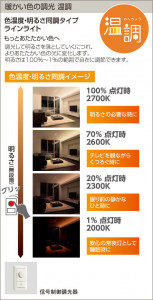 ����� | DAIKO ����ŵ� �֥饱�å� DBK-39417