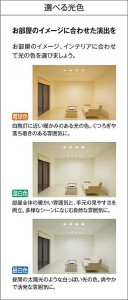  | DAIKO ŵ 饤() DDL-5011AW