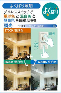 ����� | DAIKO ����ŵ� ���ݥåȥ饤�� DSL-5304FW