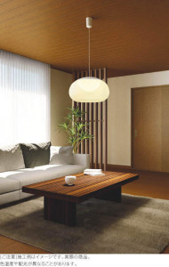 KOIZUMI �������߾��� �ڥ����� AP50305 �̿�5