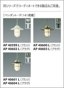 KOIZUMI �������߾��� �֥饱�å� AB40605L �̿�2