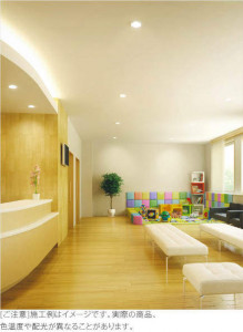 KOIZUMI �������߾��� �ⵤ̩������饤�� AD42933L �̿�2