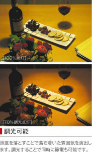 KOIZUMI �������߾��� �ڥ����� AP38238L �̿�5