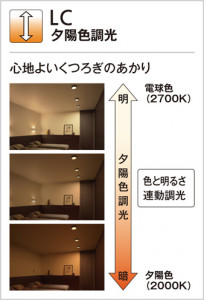 ODELIC �����ǥ�å� ������饤�� OD361078 �̿�1