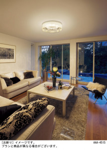 Panasonic ������󥰥饤�� LGC40113 �̿�2