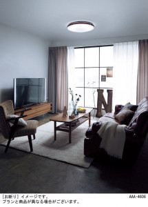 Panasonic ������󥰥饤�� LGCX31164 �̿�1