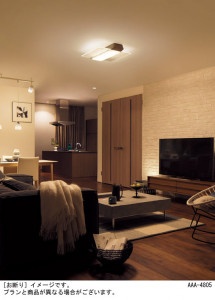 Panasonic 󥰥饤 LGCX58202 ̿4