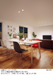 Panasonic 饤 LSEB5721KLB1 ̿2