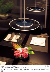 Panasonic �ڥ����� LGB15545LB1 �̿�2