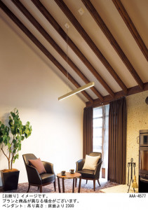 Panasonic �ڥ����� LGB17187LB1 �̿�1