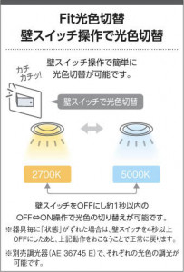 KOIZUMI ߾ ⵤ̩饤 AD7135W99 