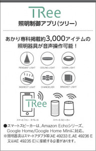 KOIZUMI �������߾��� �֥饱�å� AB45465L ��������