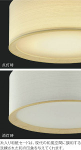 KOIZUMI �������߾��� �ڥ����� AP50303 ��ħ�̿�