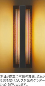 KOIZUMI �������߾��� �ɱ����֥饱�å� AU48012L ��ħ�̿�