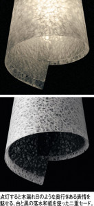 ODELIC �����ǥ�å� �����ǥꥢ OC257146PC �̿�1