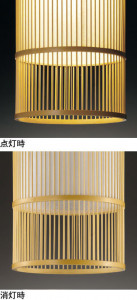 ODELIC �����ǥ�å� �ڥ����ȥ饤�� OP252498PC �̿�1