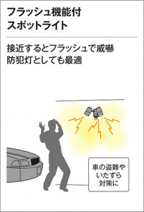 ODELIC �����ǥ�å� �������ƥꥢ�饤�� OG254637LD �̿�2