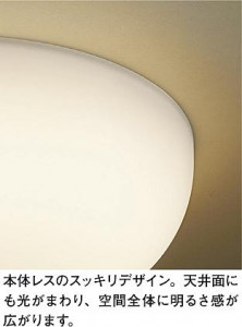 ���ͼ̿� | DAIKO ����ŵ� ����������� DCL-38273Y | ���������̿����䡦����ƥꥢ���������Ρڥ饤�ȥ��������