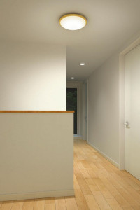 �ܹ��� | DAIKO ����ŵ� ����������� DCL-38605Y | ���������̿����䡦����ƥꥢ���������Ρڥ饤�ȥ��������