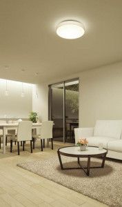 �ܹ��� | DAIKO ����ŵ� Ĵ��������� DCL-38702 | ���������̿����䡦����ƥꥢ���������Ρڥ饤�ȥ��������