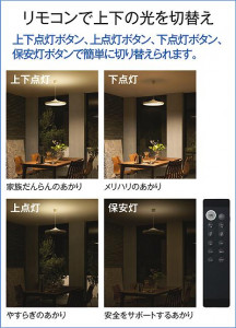 ����� | DAIKO ����ŵ� Ĵ���ڥ����� DPN-41113 | ���������̿����䡦����ƥꥢ���������Ρڥ饤�ȥ��������