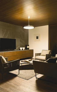 �ܹ��� | DAIKO ����ŵ� Ĵ���ڥ����� DPN-41118 | ���������̿����䡦����ƥꥢ���������Ρڥ饤�ȥ��������