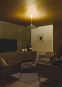 �ܹ��� | DAIKO ����ŵ� Ĵ���ڥ����� DPN-41118 | ���������̿����䡦����ƥꥢ���������Ρڥ饤�ȥ��������