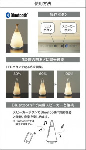 ����� | DAIKO ����ŵ� ������� DST-40796R | ���������̿����䡦����ƥꥢ���������Ρڥ饤�ȥ��������