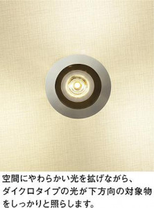 ���ͼ̿� | DAIKO ����ŵ� �ڥ����� LZP-91197YW | ���������̿����䡦����ƥꥢ���������Ρڥ饤�ȥ��������