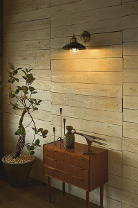 �ܹ���|DAIKO ����ŵ� �֥饱�å� DBK-40271Y