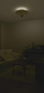 �ܹ���|DAIKO ����ŵ� Ĵ�������ǥꥢ DCH-41309