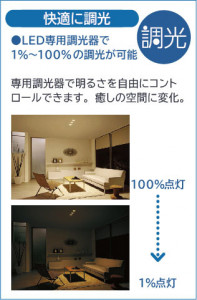 �����|DAIKO ����ŵ� ������饤��(��������) DDL-5009AWG