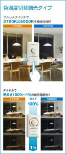 �����|DAIKO ����ŵ� ���������إڥ����� DPN-38539G