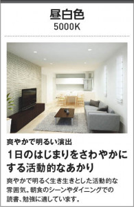 ��������|KOIZUMI �������߾��� ����������� AH52246