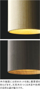 ��ħ�̿�|KOIZUMI �������߾��� �ڥ����� AP46956L