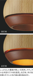 ħ̿|KOIZUMI ߾ ڥ AP50283