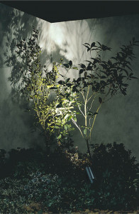 �ܹ���̿�|KOIZUMI �������߾��� �������ƥꥢ���ѥ������ݥå� AU42387L