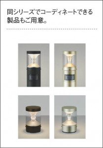 ��������|KOIZUMI �������߾��� �ɱ����֥饱�å� AU45496L