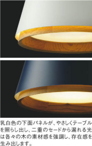 ��ħ�̿� Koizumi �������߾��� �ڥ�����AP45514L